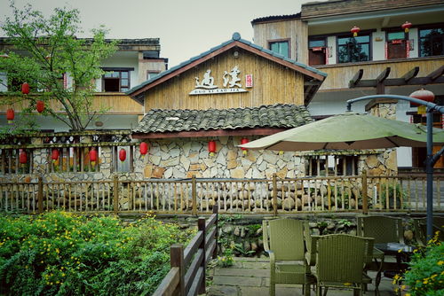 成都周边最美的古风休闲度假地,山美水美茶香四溢