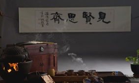 汉韵茶宝贝亮相合之美茶友会