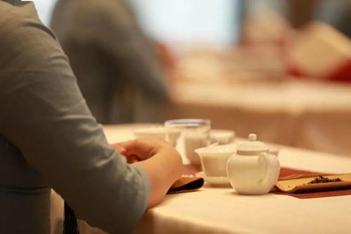 北川三月好风光 美女邀你采茶品茗