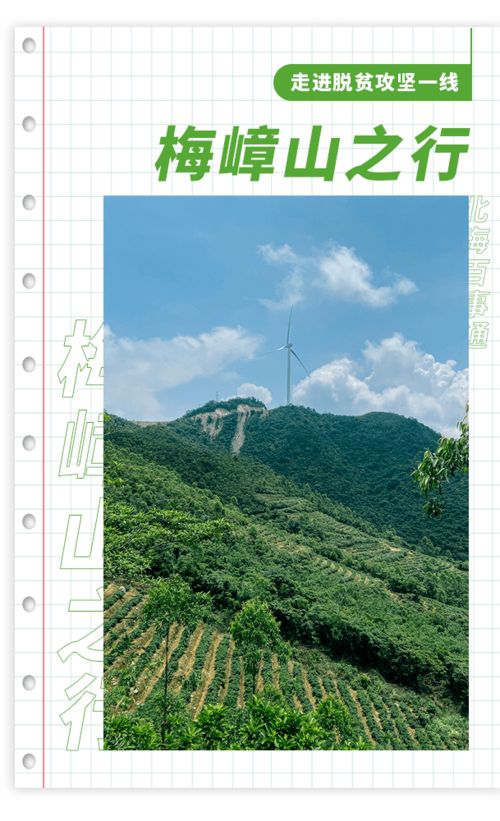 探秘 北海第一高峰上有什么 超美茶田 风力发电机