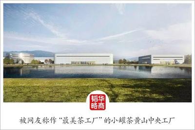 从金罐到多泡,杜国楹的小罐茶又下什么棋?
