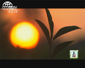 美丽中华行之稻美茶香 乐居下蜀