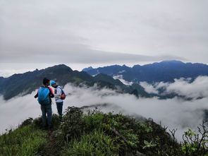 夏初春色 大美茶岩顶